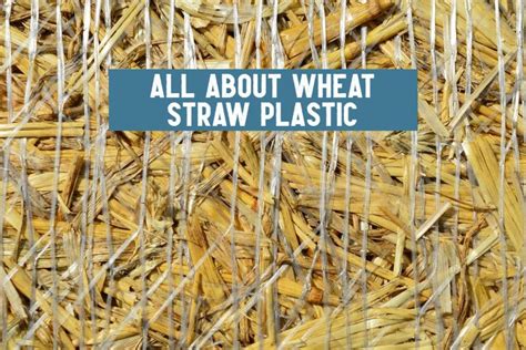 wheat straw plastic meaning